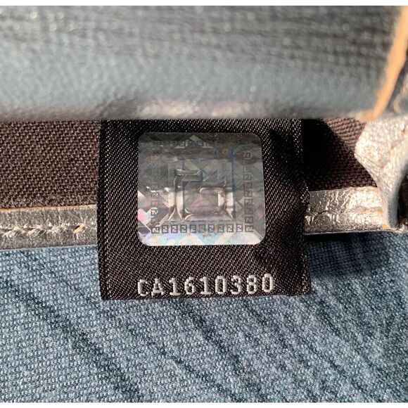 FENDI Metallic Calfskin Wallet On Chain Silver Clutch Purse AUTHENTIC $3800 - Picture 6 of 15